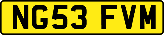 NG53FVM