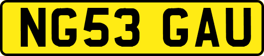 NG53GAU