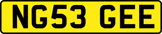 NG53GEE