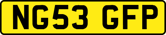 NG53GFP