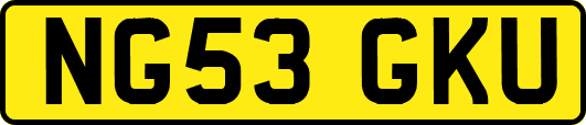 NG53GKU