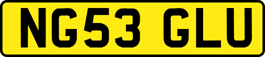 NG53GLU