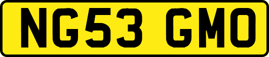 NG53GMO