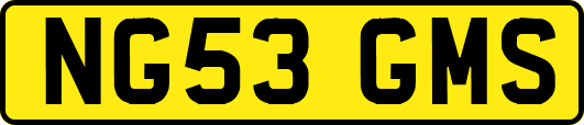 NG53GMS
