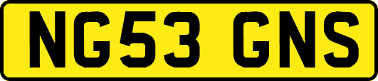 NG53GNS