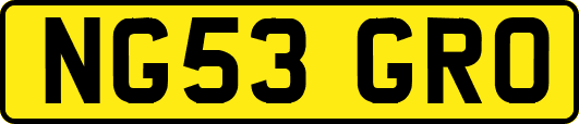 NG53GRO
