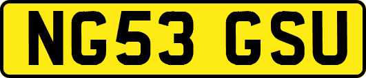 NG53GSU