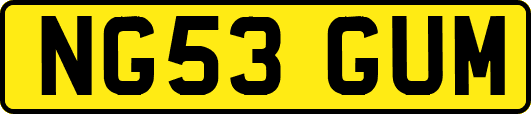 NG53GUM
