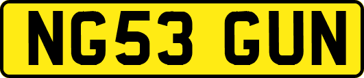 NG53GUN