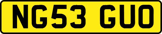 NG53GUO