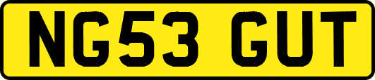 NG53GUT