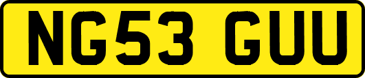 NG53GUU