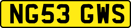 NG53GWS