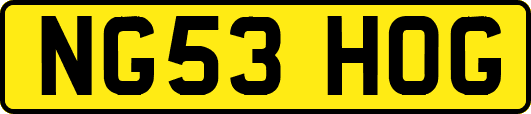 NG53HOG