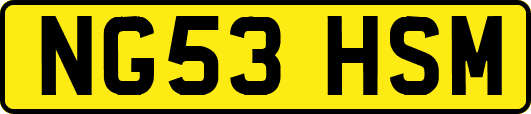 NG53HSM