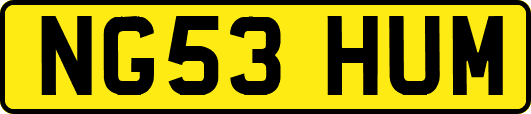 NG53HUM