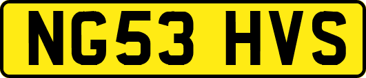 NG53HVS
