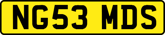 NG53MDS
