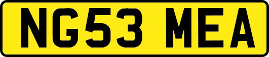 NG53MEA