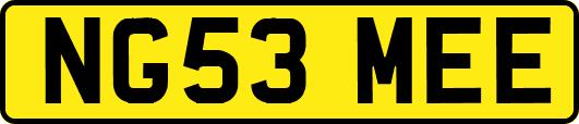 NG53MEE
