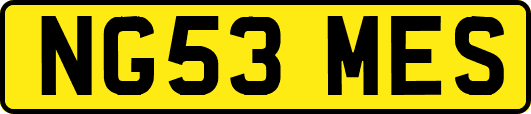 NG53MES