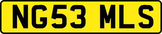 NG53MLS