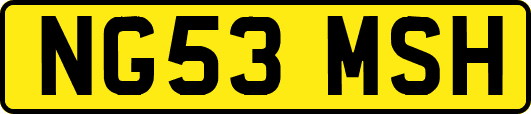 NG53MSH