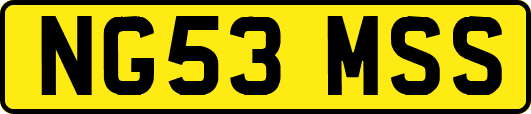NG53MSS