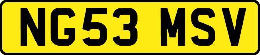 NG53MSV