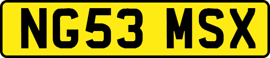 NG53MSX