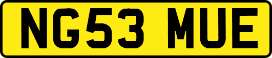 NG53MUE