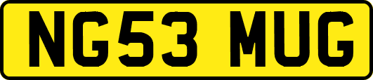 NG53MUG