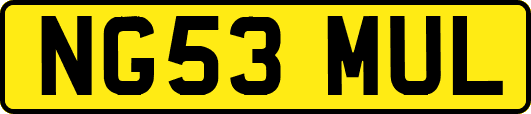 NG53MUL