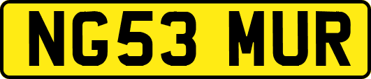 NG53MUR