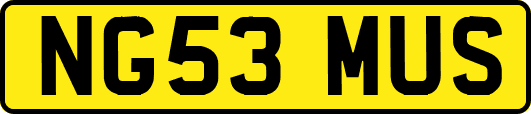 NG53MUS