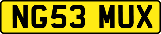 NG53MUX