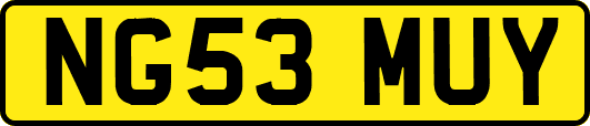 NG53MUY
