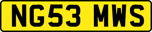 NG53MWS