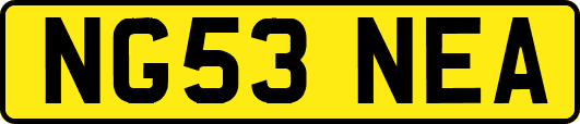 NG53NEA