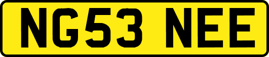 NG53NEE