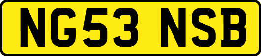 NG53NSB