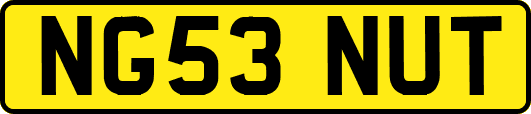 NG53NUT