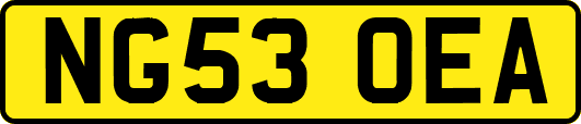NG53OEA