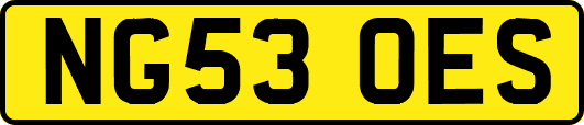 NG53OES