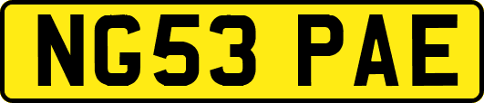 NG53PAE
