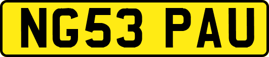 NG53PAU