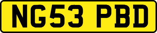 NG53PBD