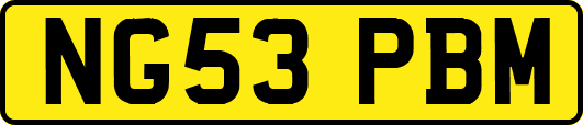 NG53PBM