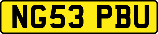 NG53PBU
