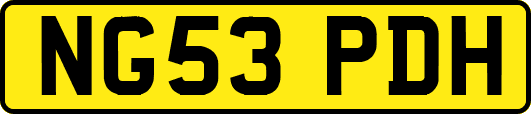 NG53PDH